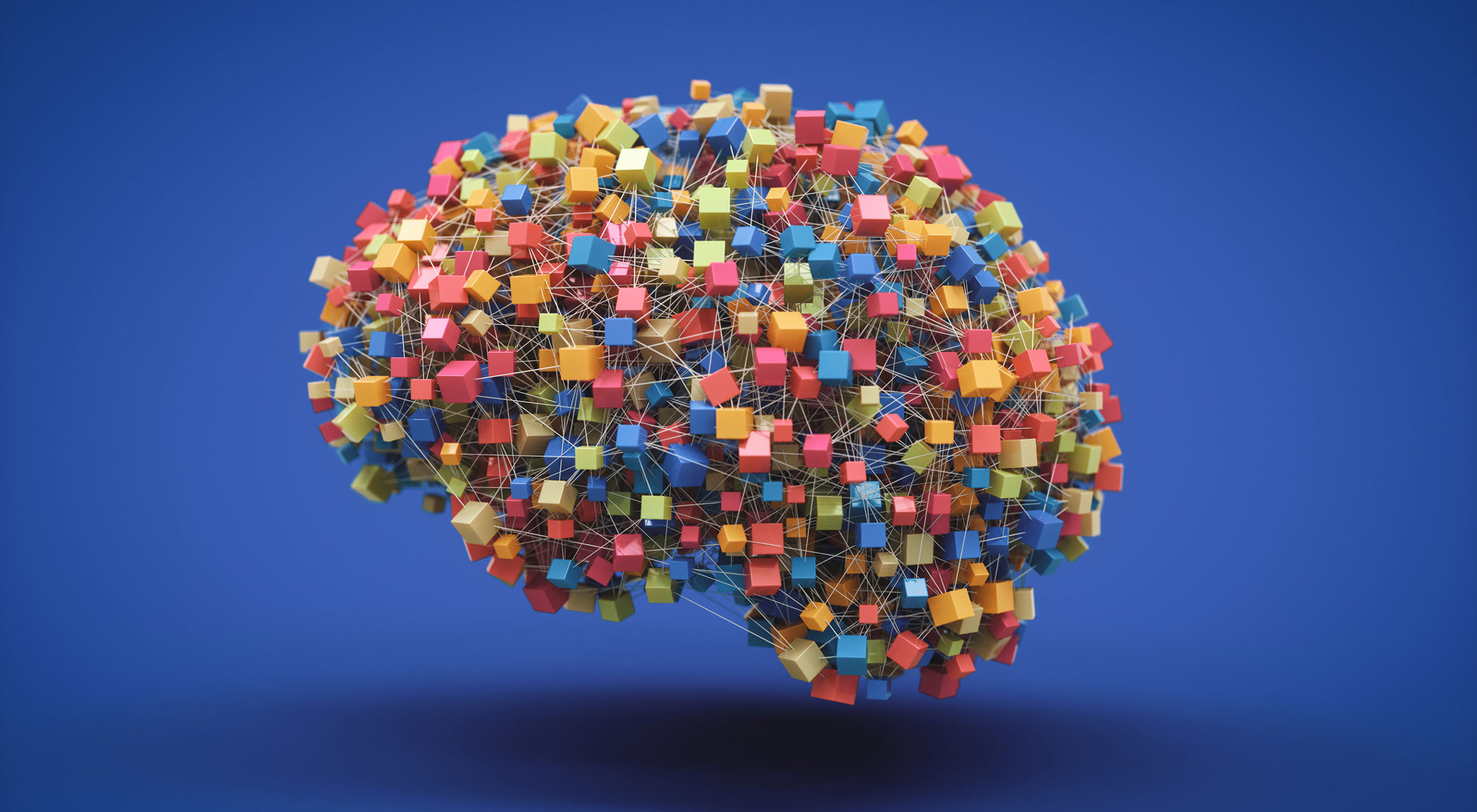 What is Neurodiversity?